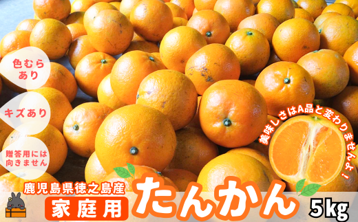 徳之島産家庭用たんかん10キロセット 奄美大島 訳あり たんかん タンカン みかん ご家庭用 10kg ／Lサイズ