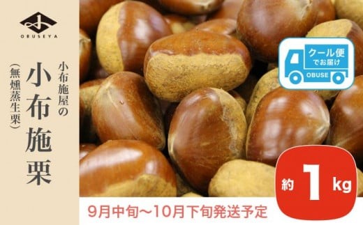 小布施栗（無燻蒸生栗） 約1kg ［小布施屋］ 果物 フルーツ 生栗 くり