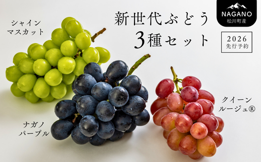 TK05-26A 【先行予約】 ぶどう3種セット プレミアムスリー（ナガノ