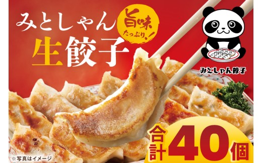 旨味たっぷり！本場プロの中華料理人が作る みとしゃん生餃子 40個【香