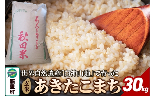 米 令和7年産 あきたこまち【玄米】30kg - 秋田県藤里町｜ふるさと 