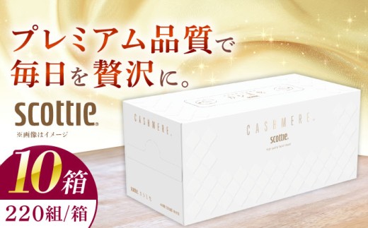 スコッティ ボックスティッシュ カシミヤ 10箱 (1箱 220組(440枚)) ティッシュ ボックスティッシュ 日用品 まとめ買い 消耗品 ギフト 神奈川県 開成町【日本製紙クレシア株式会社】 [BDAM020]