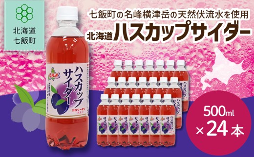 先行予約】【2026年1月20日より順次発送】ハスカップサイダー24本