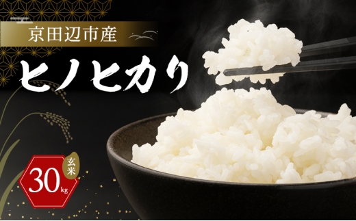 京田辺市産 ヒノヒカリ 30kg 玄米 R7年度産 お米 米 こめ コメ 精米 