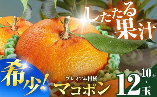 数量限定】 紅モンスター マコポン 10~12玉 | フルーツ 果物 くだもの
