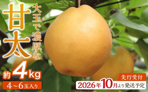 2026年発送／先行予約】梨「甘太」約4kg（4～6玉入）10月中旬～順次