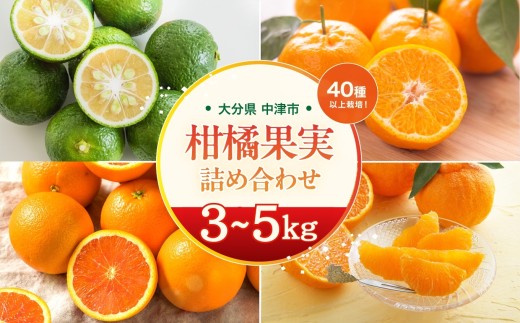 期間限定】おはら果樹園果実詰め合わせ 約 3～5kg | フルーツ 果物