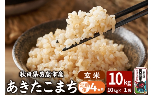 �y�H�c���j���s�z�ߘa7�N�Y�s�����4�����t���������܂� ���� 10kg�i10kg×1�܁j �g�^���X �H�c�� �j���s ���� ���ٓ� ���ɂ���