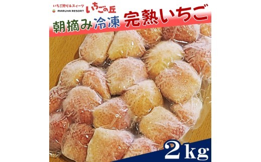 �y���m�����l���z�܂�͐H�� �}���n���]�[�g �������̋u �w�󂠂�x���n �Ⓚ������ 2kg 1kg×2�� �b �󂠂� ������ �C�`�S �Ⓚ 2kg ���Y ���n �X���[�W�[ �W���� ���[�O���g �V���[�x�b�g �f�U