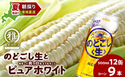 �y�k�C����Ύs�z2026�N�Ĕ��� �L�����̂ǂ�����500��l 12�ʁ������Ƃ����낱���s���A�z���C�g9�{