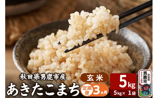 �y�H�c���j���s�z�ߘa7�N�Y�s�����3�����t���������܂� ���� 5kg�i5kg×1�܁j �g�^���X �H�c�� �j���s ���� ���ٓ� ���ɂ���
