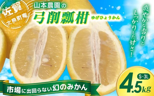 山本農園の珍果 弓削瓢柑 （ゆげひょうかん） 4.5kg 【2026年3月下旬