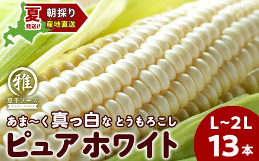 2026年夏発送 白いとうもろこし ピュアホワイト L～2L 13本 - 北海道
