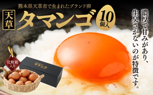 熊本県天草市で生まれたブランド卵「天草タマンゴ」10個入 化粧箱入 卵