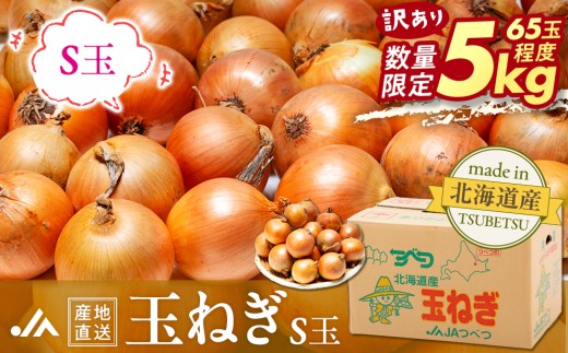 先行受付】【訳あり】R8年産 玉ねぎ S玉 5kg | 北海道津別町 - 北海道