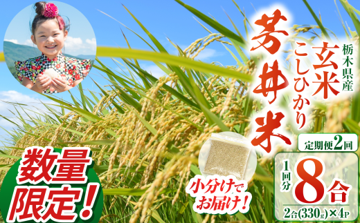 �y�Ȗ،��߉ϐ쒬�z�y�����2��z�y���ʌ���z�y�ߘa7�N�x�z�߉ϐ쒬�Y�F��� ���� 330g�i2�����j×4 | �����Ђ��� �� ���͂�  �ӂ����� ��������  �ӂ邳�Ɣ[�� �߉ϐ쒬 �Ȗ،�