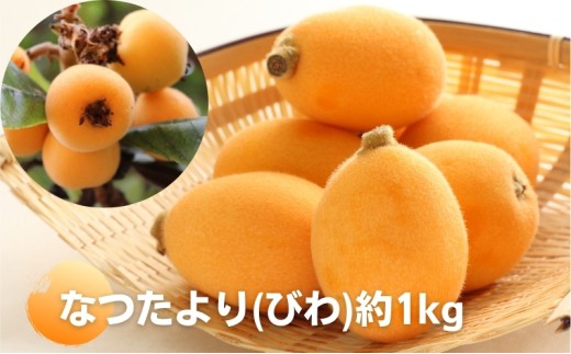�ԗ�i�摜