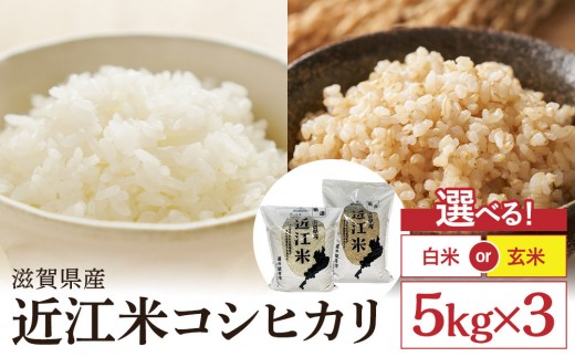 �y���ꌧ���Îs�z�ߘa7�N�Y�@�ߍ]�ăR�V�q�J���i���āE���āj5kg×3�@�v15kg