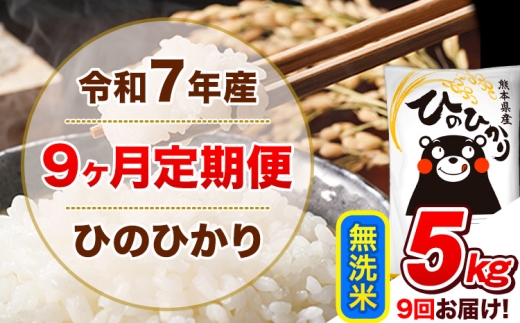 �y�F�{���Óޖؒ��z �ߘa7�N�Y�y9��������ցz������ �Ђ̂Ђ��� �v9�񂨓͂� 5kg 5kg×1�܁s���\���ݗ�������o�ׁt �F�{���Y �Ђ� �� ���� �q�m�q�J�� �R�� ���� �Óޖ�
