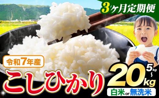 �y�F�{����k���z�y3��������ցz�ߘa7�N�Y  ������ ���I�ׂ� �����Ђ��� 5kg 10kg 15kg 20kg ����� ���I�ׂ�s���\���ݗ����o�ׁt�F�{���Y �ӂ邳�Ɣ[�� ������ ���� ���� �Ђ� �� ���� �ӂ邳