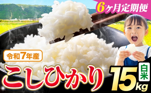 �y�F�{����k���z�y6��������ցz�ߘa7�N�Y  ���� �����Ђ��� 15kg�s���\���݂̗����o�ׁt�F�{���Y �ӂ邳�Ɣ[�� ���� ���� �Ђ� �� ���� �ӂ邳�Ƃ̂����� �R�V�q�J�� �R�� ���� ������