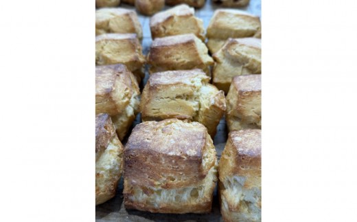 �y�k�C���]�ʎs�z�X�R�[��12�Z�b�g�i�Ⓚ�j