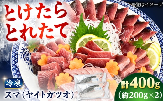 とけたらとれたて】 スマ（ヤイトガツオ）（下処理・瞬間冷凍）計400g