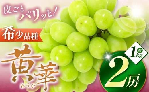 葡萄 ぶどう | 製品情報 | IBARAKI EXPORTS - Selection of Japanese Foods -