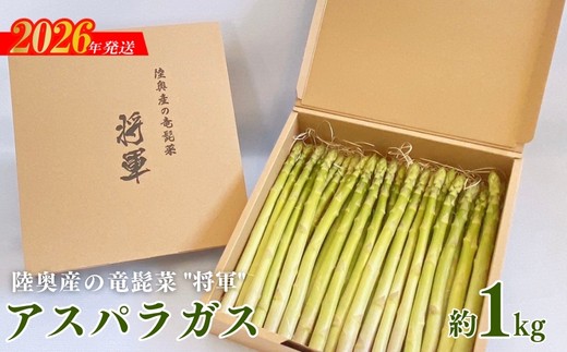 送料無料★LAより入荷!!　フロント・ランナー・アスパラガス / 木製ボックス　大型49cm　岐阜より迅速発送 上下七色農園のアスパラガス（貼箱 約600g）: 広島とれたて元気市