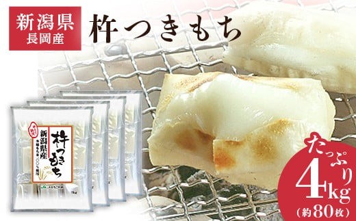 sd1_86bef2d07cebf72ac2abefa7a2