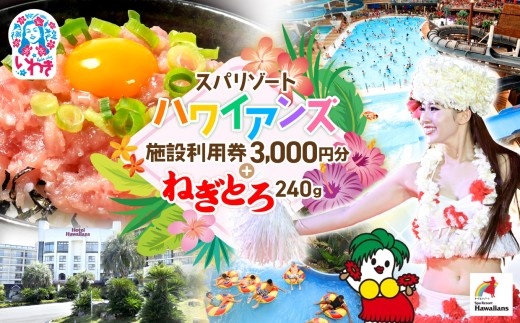 スパリゾート ハワイアンズ 施設利用券3,000円分＋訳アリ 福島製造
