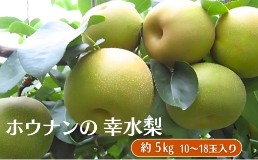 ホウナンの梨（幸水梨）約5kg 果物 フルーツ ナシ 先行予約 - 香川県