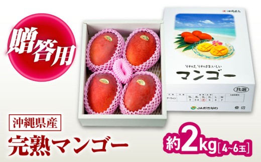 �y���ꌧ����s�z�}���S�[ 2026 �y 2026�N���� ��s�\�� �z���n�}���S�[ ��2kg (4?6�� / ���ϔ��E�G�i) �}���S�[ ���� �}���S�[ ��s�\�� �}���S�[ 2026 �Z�� �Ɋ� �Â� �ɏ� ���܂� �������� ��l