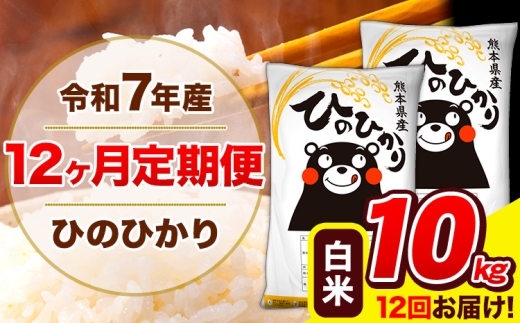 �y�F�{�����F���z �ߘa7�N�Y �Ђ̂Ђ��� �y12��������ցz ����  10kg (5kg×2��) �v12�񂨓͂� �s���\���ݗ�������o�ׁt �F�{���Y ���� ���� �Ђ� �� ���� ���� �F�{�� ���F��