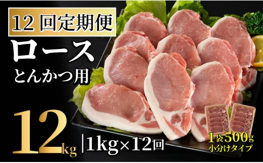 �y���茧�����ێs�zB612 �s����ցt���茧�Y�� ���[�X�Ƃ񂩂p�v1kg(100g×5��)×2 �y12�񂨓͂��z