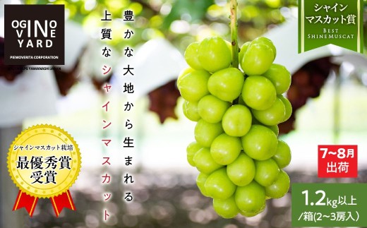 �y�R������A���v�X�s�z�y2026��s�\��_7����{�`�����z�R�����Y�����o�׃V���C���}�X�J�b�g �P�D2�����ȏ�^���@�Q�`�R�[�� ALPAK010�b�������� �l�C �R���� �Y�n���� �t���[�c �ʕ� ������