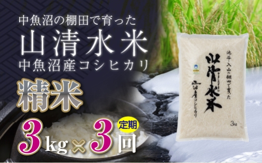 �y�V�����\�����s�z�y����ց^�S3��z����3kg �V���������Y�R�V�q�J���u�R�����āv