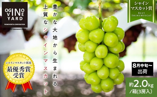 �y�R������A���v�X�s�z�y2026�N��s�\��_8�����{�`�����z�R�����Y�V���C���}�X�J�b�g ��Q�D�O�����^���@�R�[�� ALPAK008�b�������� �l�C �R���� �Y�n���� �t���[�c �ʕ� �������� �u�h�E ��