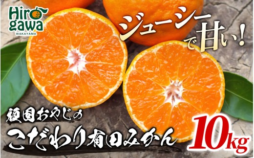 �y�a�̎R���L�쒬�z��ŃI���W�� �L�c �݂��� 10kg / ���B�݂��� �L�c�݂��� �Â� �a�̎R ���k ��11�����{�`1�����{�ɏ������� �ykrf004-r-10A�z