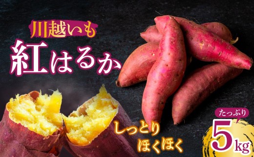 さつまいも 紅はるか 5kg | さつまいも サツマイモ さつま芋 紅はるか