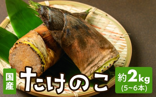 たけのこ 2kg (5~6本) 筍 タケノコ 竹の子 2キロ 5本 6本 生 旬 旬の