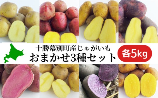 十勝 幕別町産 じゃがいも15kg おまかせ3種(各5kg)【渡邉農場】 [2026