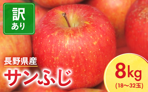 長野県産 サンふじ りんご 家庭用 訳あり 8kg(18～32玉)【1449697