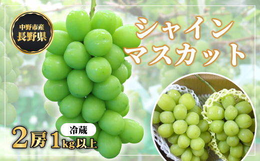 長野県中野市産 冬でも食べれる シャインマスカット2房(1.0kg以上)_