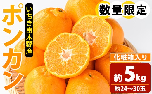 【さつきのとや】600ｇ蜂蜜２本+ポンカン4Ｋｇ+伊予柑4Ｋｇ　同梱発送 さつきのとや様専用】600g蜂蜜2本+ポンカン4Kg+伊予柑