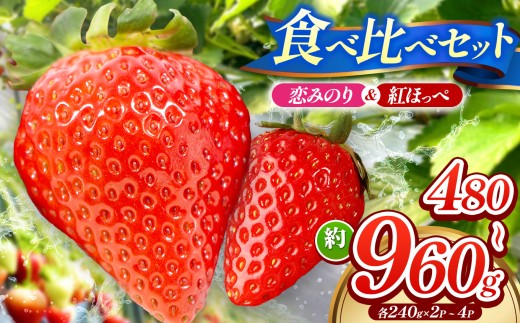 紅ほっぺ 」「 恋みのり 」 食べ比べ セット 各 240g × 1パック 計 2