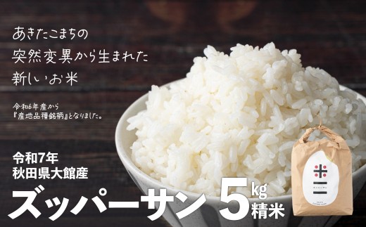 令和7年産】ズッパーサン精米5kg(5kg×1袋) 100P9005 / 米 5kg 白米