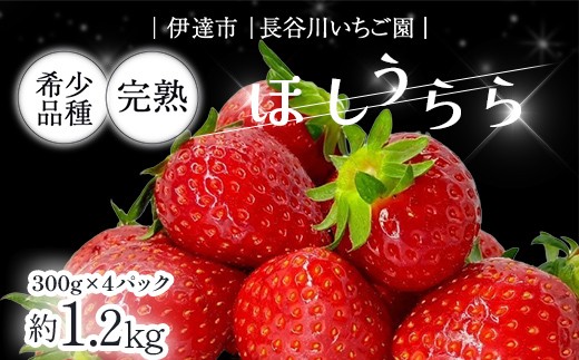 完熟いちご「ほしうらら」 約1.2kg いちご イチゴ 苺 デザート