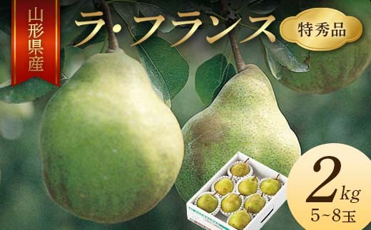 山形県産ラフランス 2026年産 先行予約》山形県産 ラ・フランス 2kg 5～8玉 特秀品 FSY