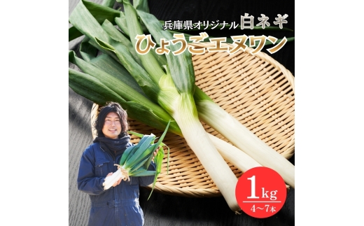 数量限定 テレビで話題！ 極上 ひょうごエヌワン 白ネギ 1kg 4～7本